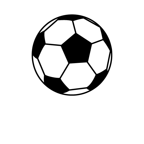 VIPの目的